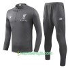 Liverpool Tränings Sweatshirtställ Grå 2018/19